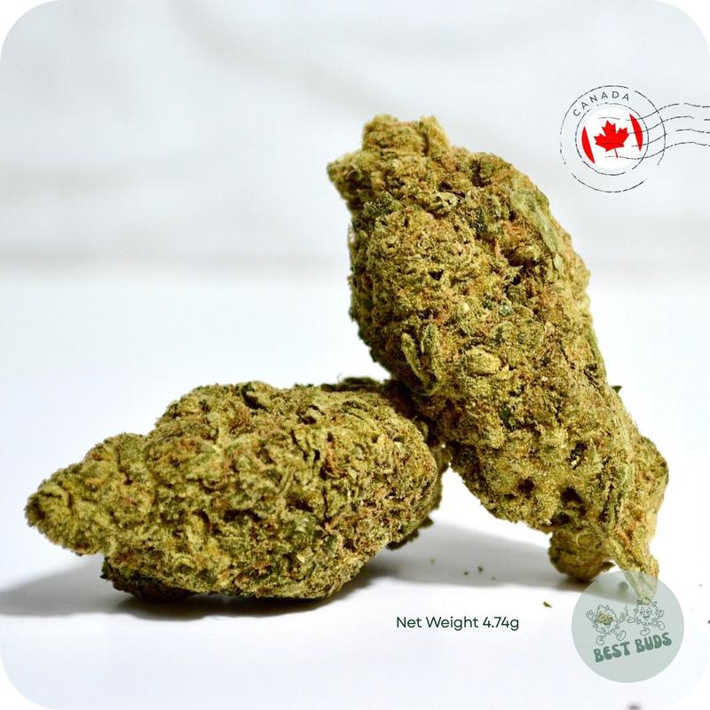 Imported Flower