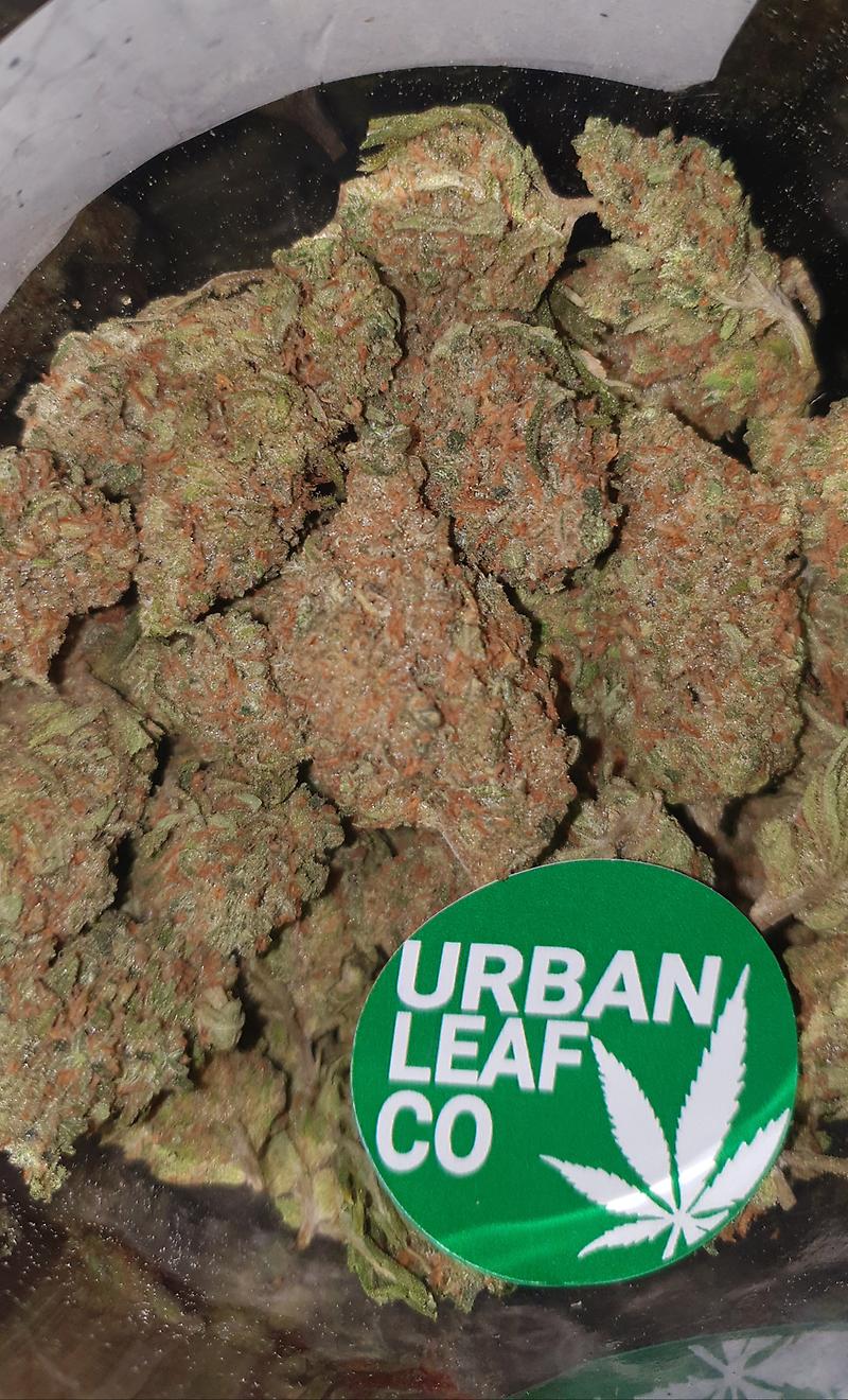 **2 STRAIN VARIETY PACK - (FREE RM 1ST CLASS)SC/GD