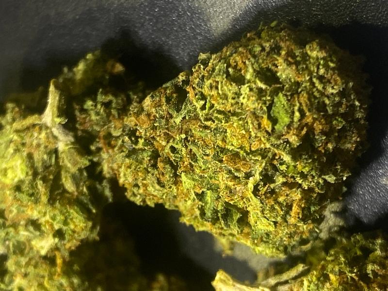 California Mids (FREE T24)