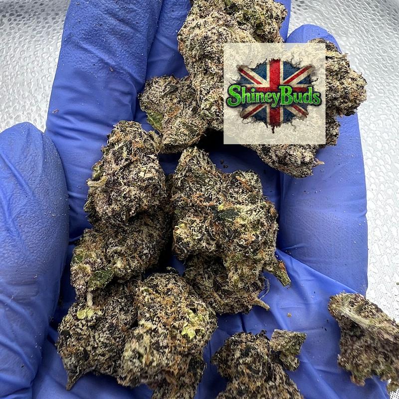 🇺🇸 Raspberry Runtz (Tops)
