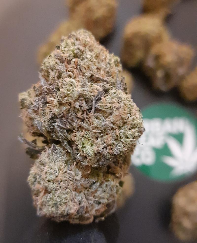 **DB#10 - (FREE RM 1ST CLASS DISPATCH)**