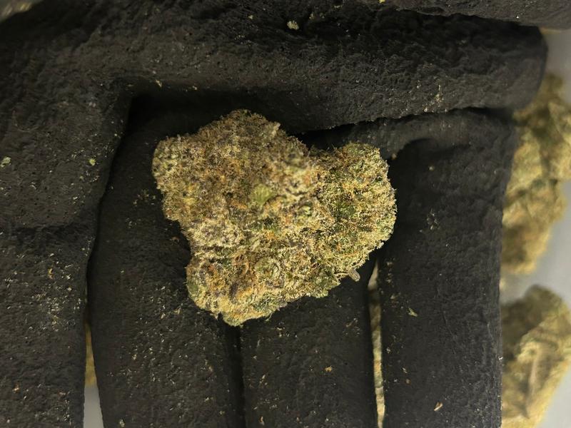 Forbidden fruit