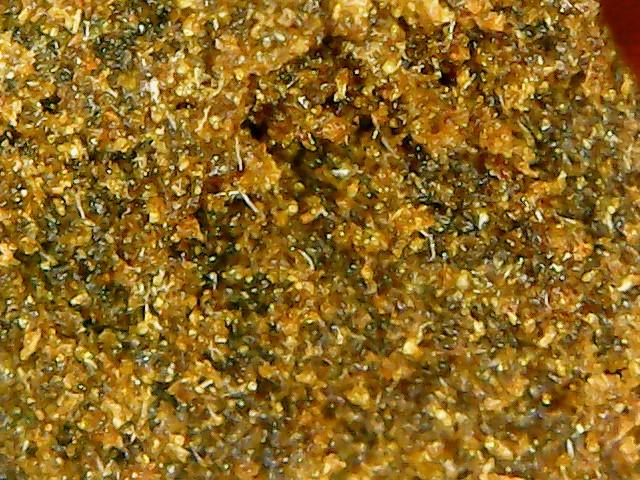 Holy: Rasol Spicy Crumbly Chocolate Indian Charas