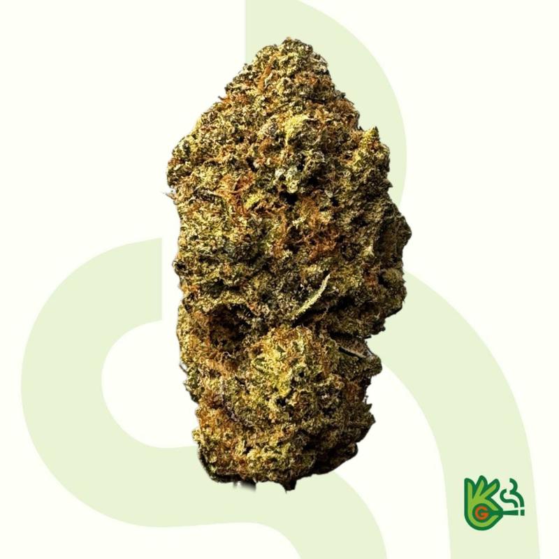 Animal Sorbet *Free Shipping*