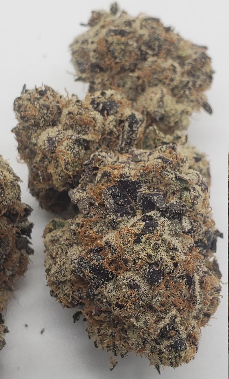 BACIO GELATO (HYBRID)