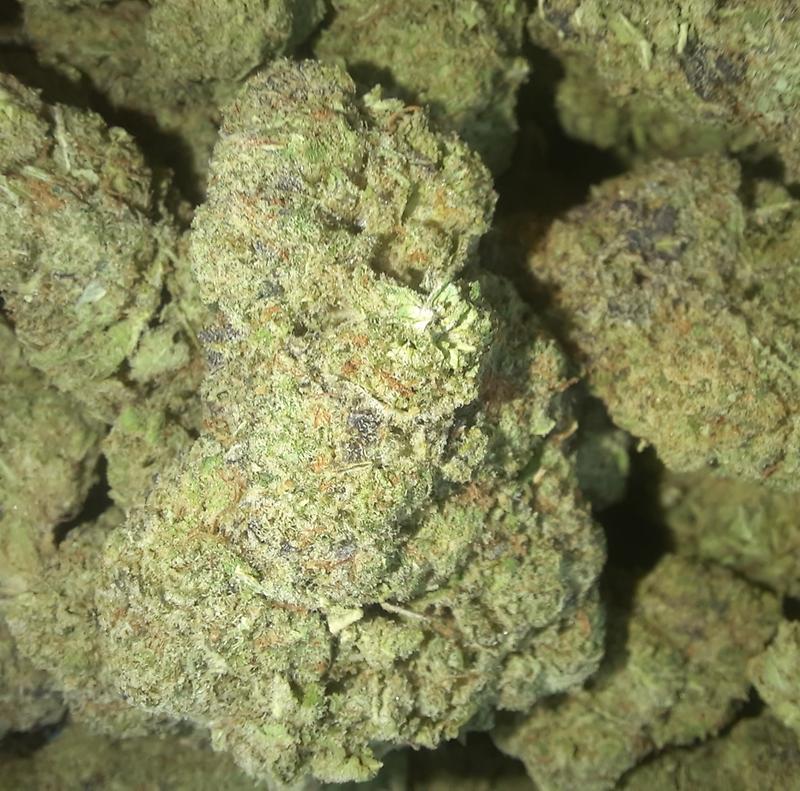 OREOZ - INDICA DOMINANT
