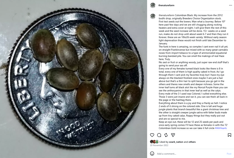 The Nature Farm Seeds