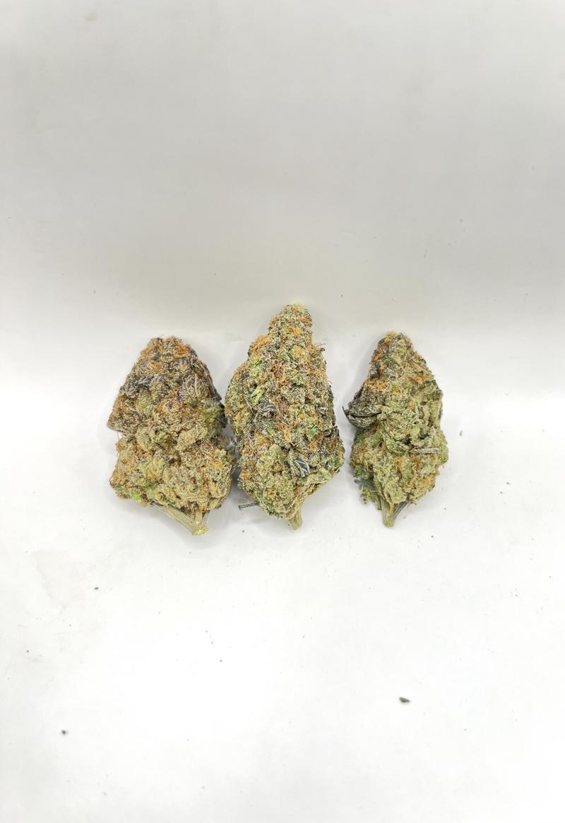 PURPLE BISCOTTI