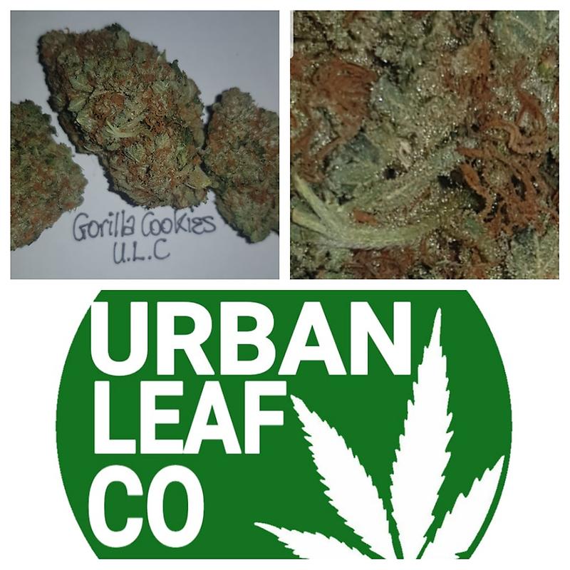 **GORILLA COOKIES - (FREE RM 1ST CLASS)**