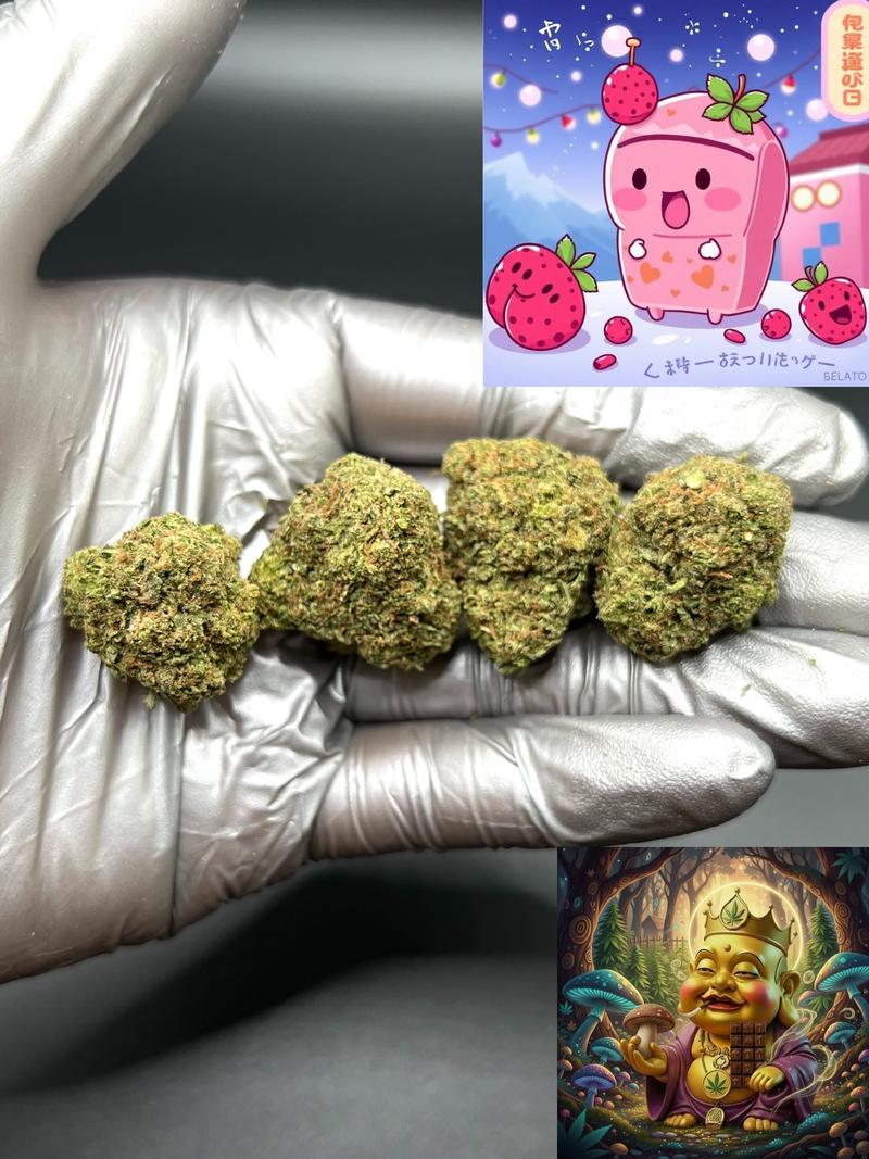 BERRY GELATO