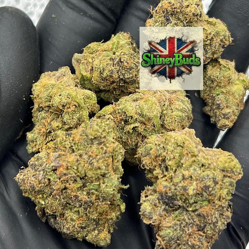 🇺🇸 Lemon Feever By WIZARD TREES