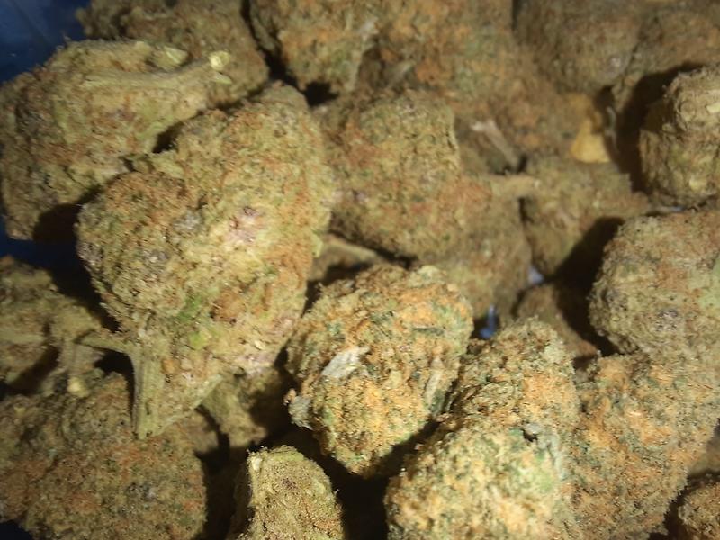 MENDO PURPS - USA - FREE RM 1ST CLASS SHIPPING