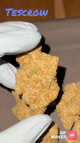 Top Shelf Cali Bud by The TenCo