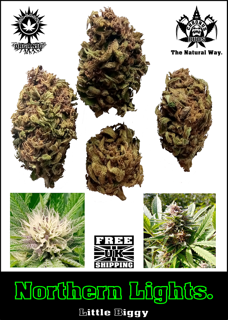 Northern Light: UK SunGrown Organic, Free UK Shipping.
