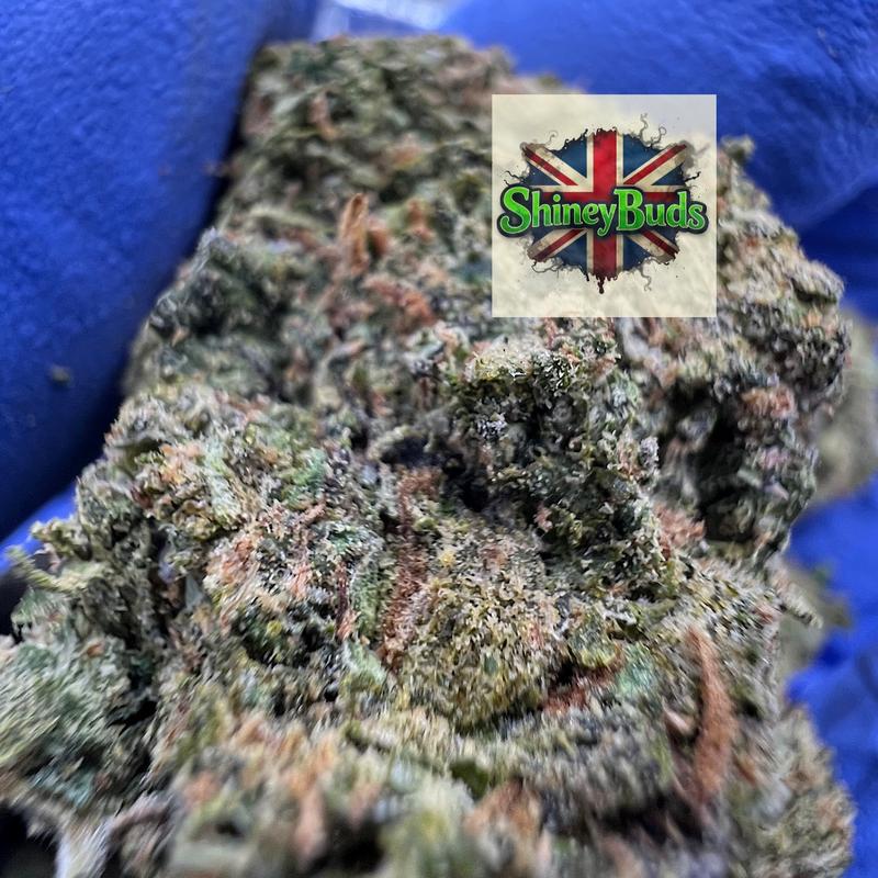 🇺🇸 Candy Fumez (Mids)