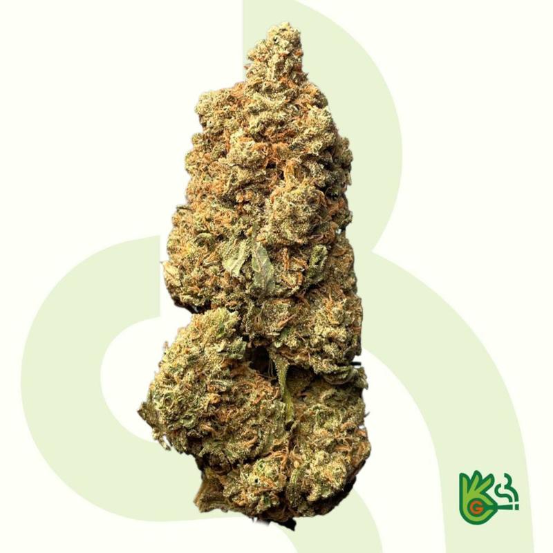 Super Silver Haze *Free Shipping*