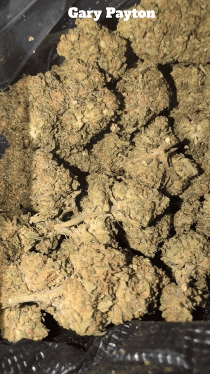 Cali Mids - Loose Import 🇺🇸