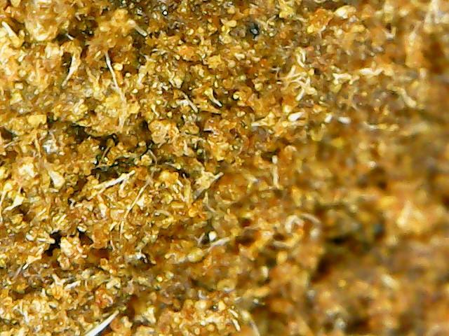 Holy Grade: Spicy Menthol Smooth Clean Morrocan Hashish