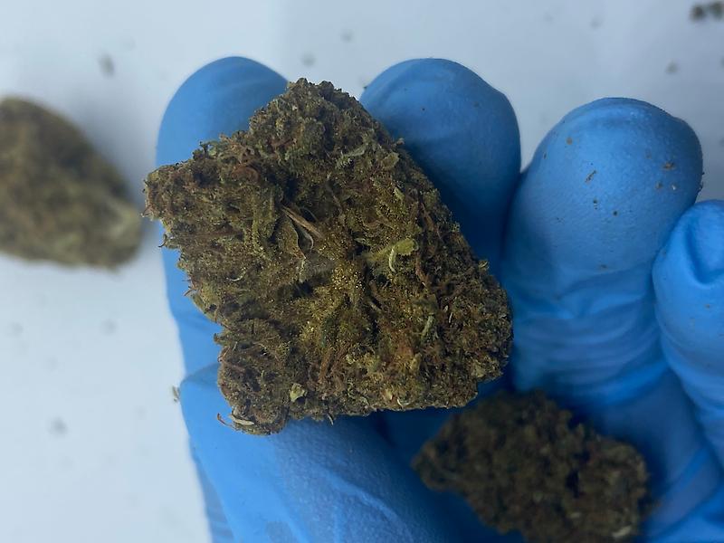 Green Crack Super Cheap Buds