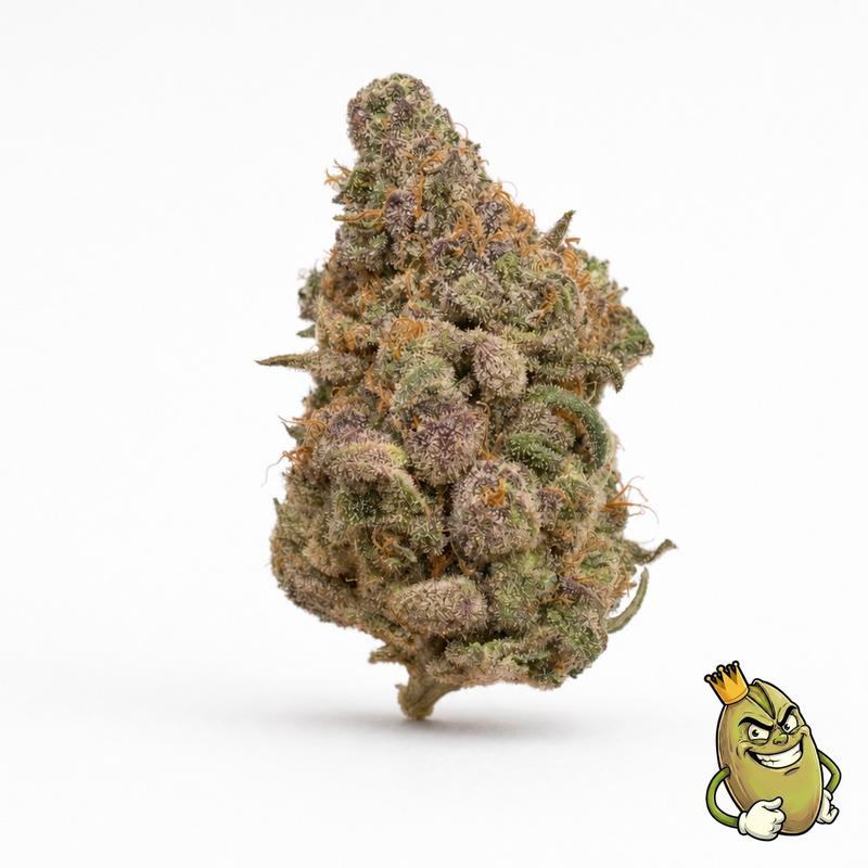 SUNSET SHERBET