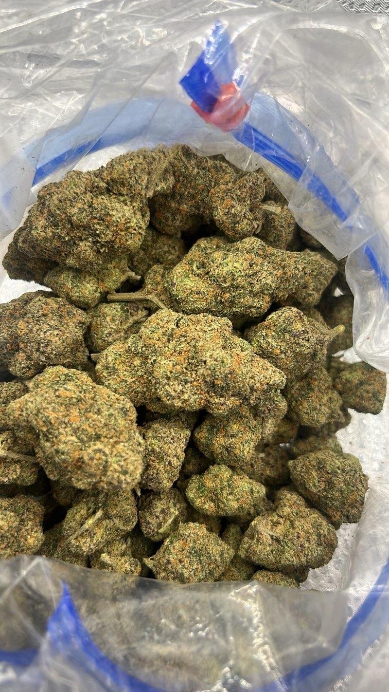 🍯 CALI LOOSE EXOTICS | Sticky Buns 🍯