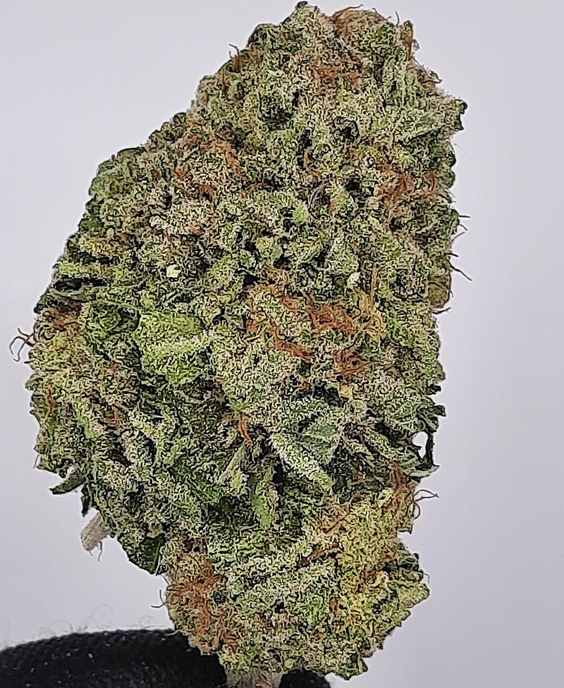 **GREEN GELATO - (FREE RM 1ST CLASS SHIPPING)**