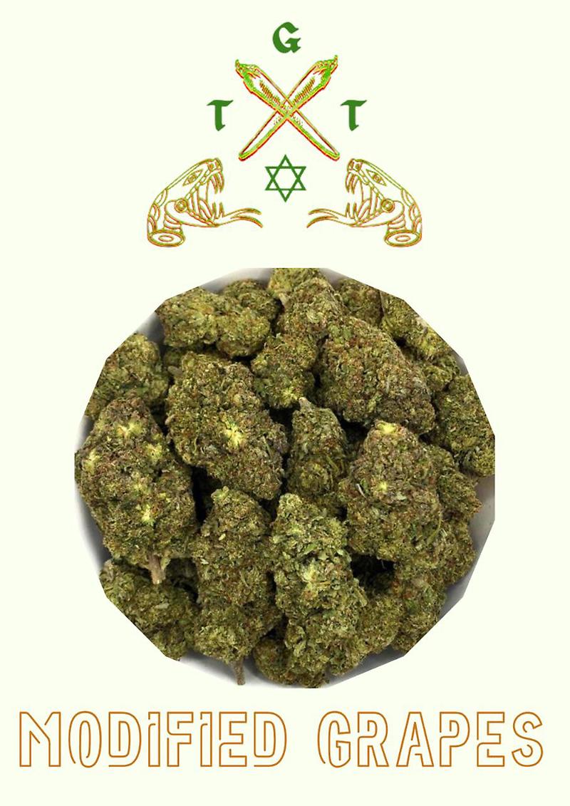 PREMIUM MODIFIED GRAPES *FREE SHIPPING*