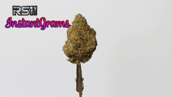 INSTANT Top Shelf Cali