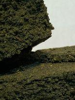 Cookie Dawg Decarb Hash