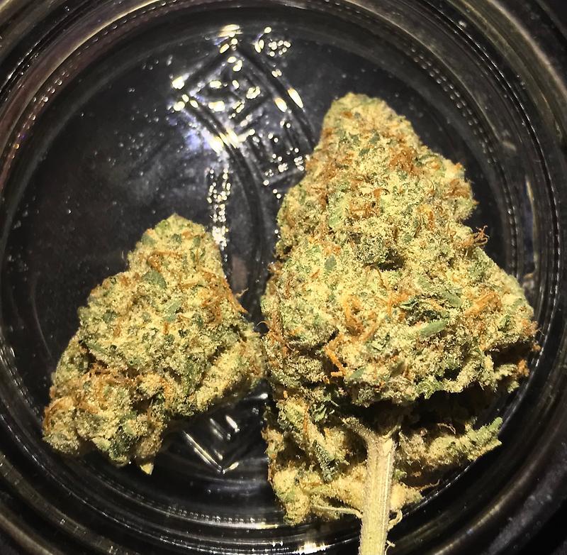 Stardawg (top shelf quality)
