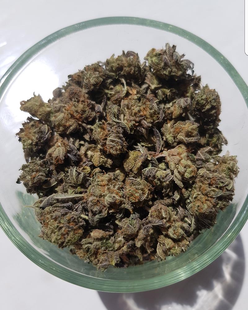 **DAWG STAR SHAKE**