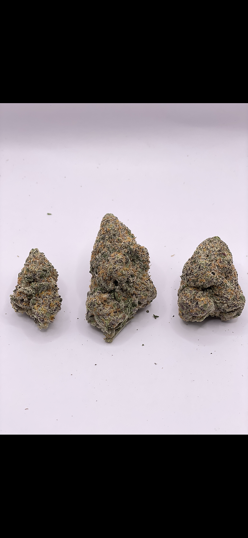 BANANA BREAD - EXOTICS