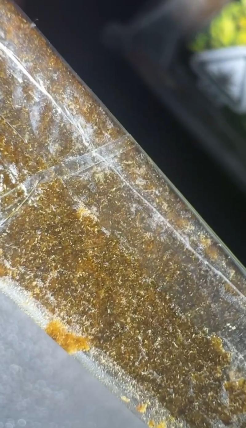 FILTERED HASH