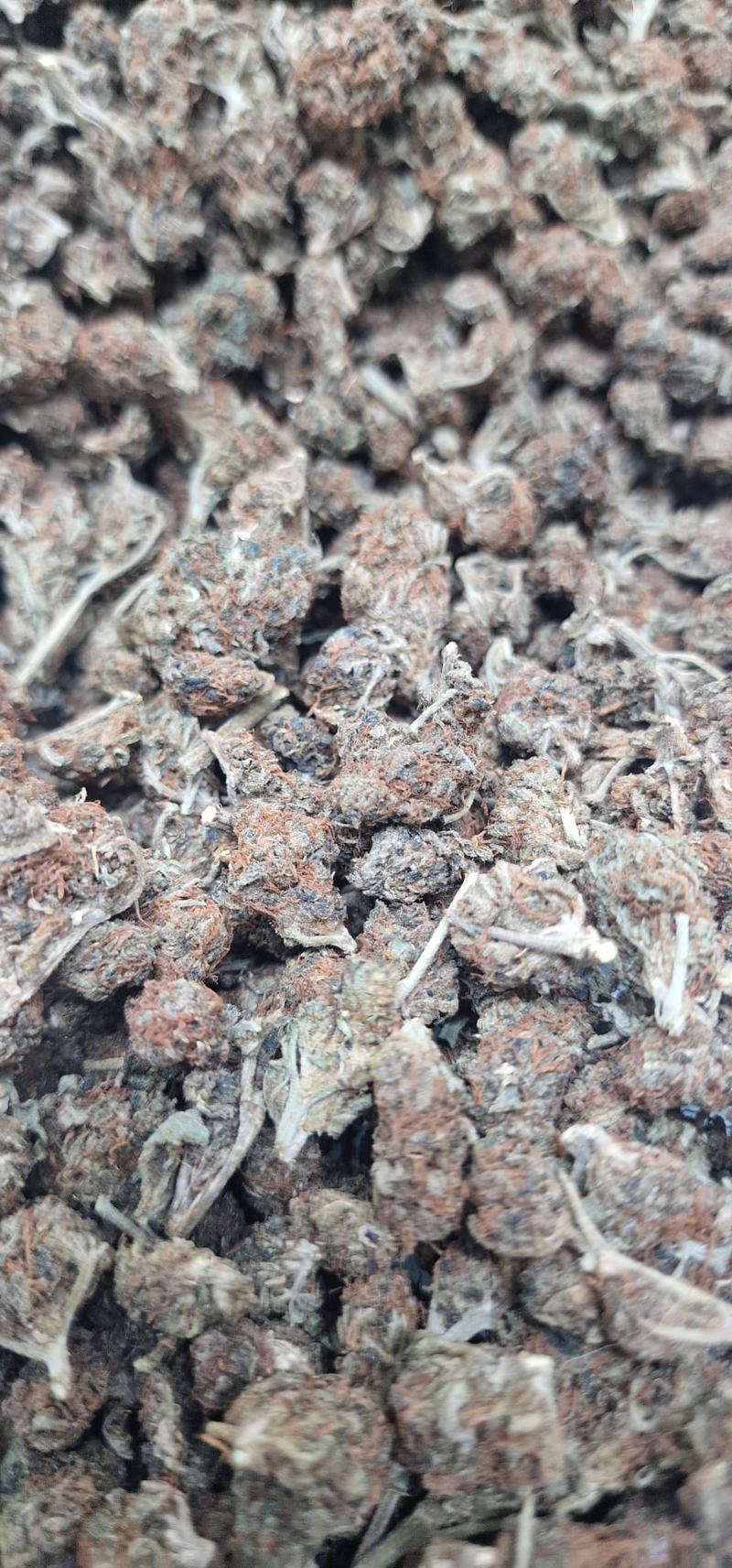 Introductory Stardog Smalls 🐩