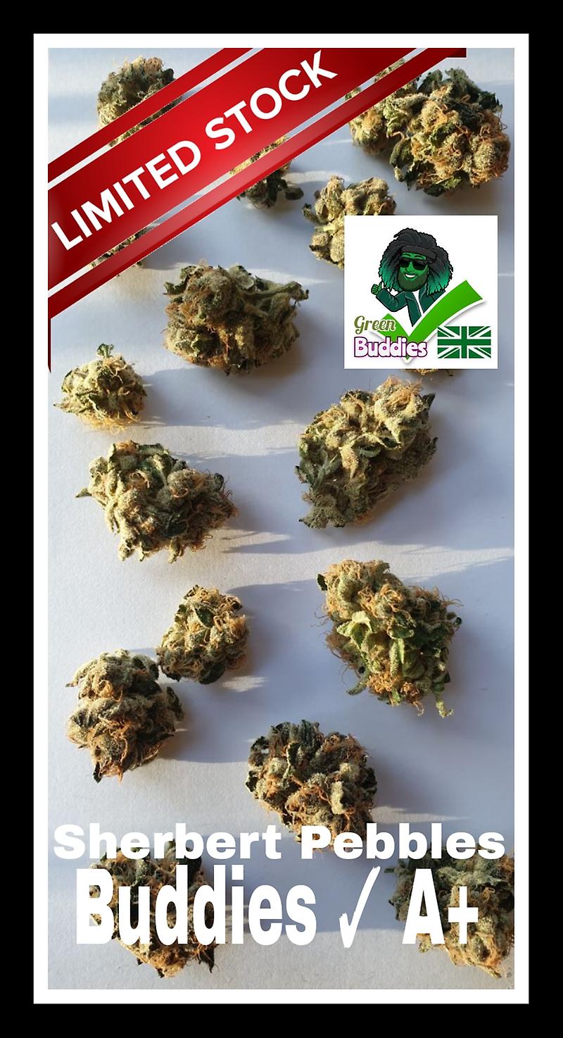 Buddies ✓ - Sherbert Pebbles A+