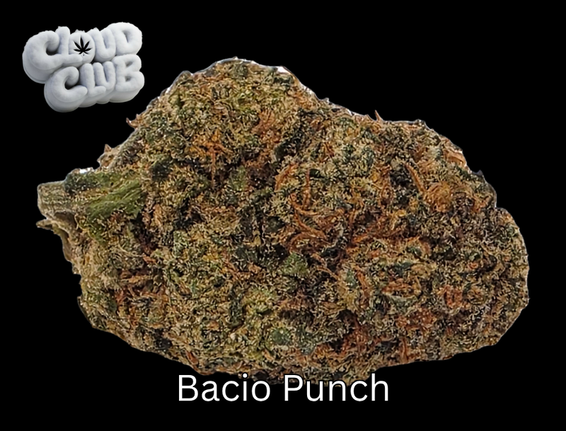 Bacio Punch
