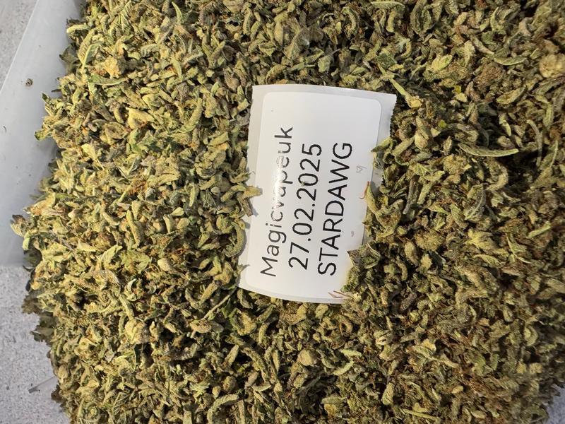 CALI TRIM SHAKE TROPICALLY NERDS