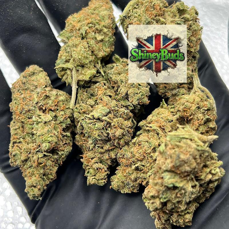 🇬🇧 Super Silver Haze