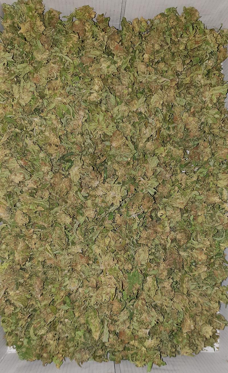 **MIXED STRAIN SHAKE - (FREE RM 1ST CLASS)**