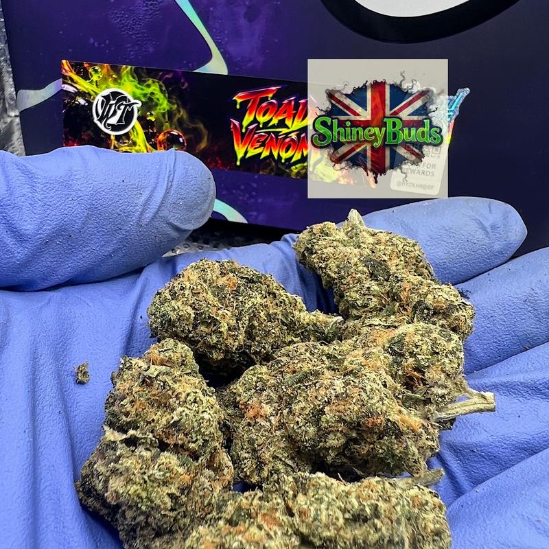 🇺🇸 Toad Venom (Antidote) Wizard Trees