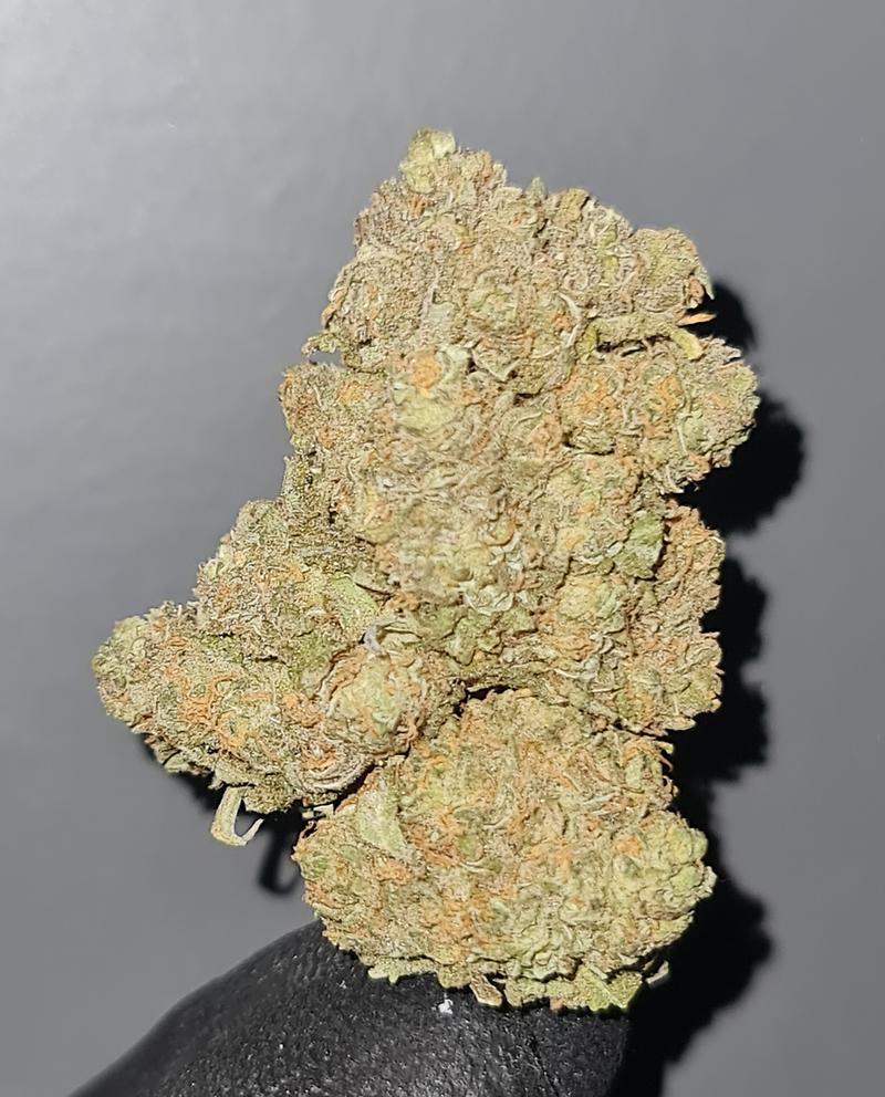 **BLUEBERRY - (FREE RM 1ST CLASS)**