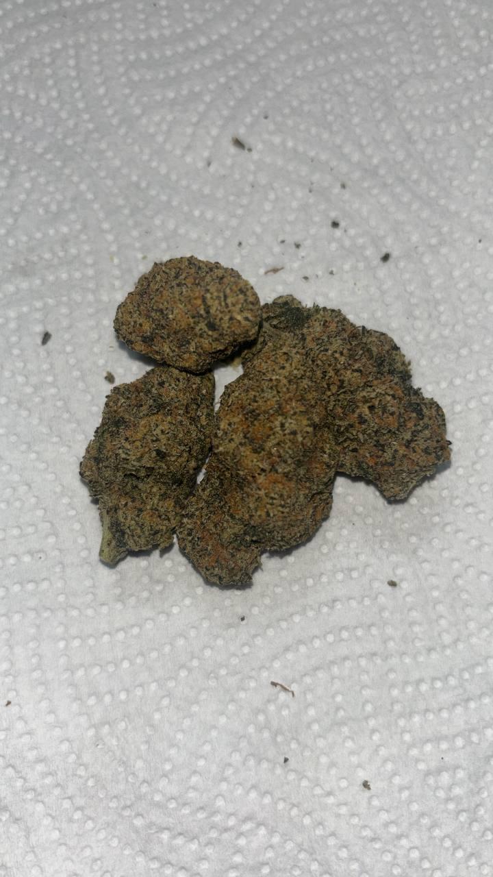 BLACK CHERRY GELATO - CALI MIDS IMPORT AAA+ 3.5g TESTER