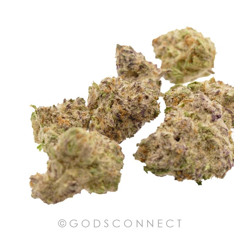 GPR: Cali FALCO "PURPLE PUNCH"