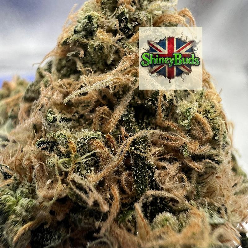 🇬🇧 Skywalker OG