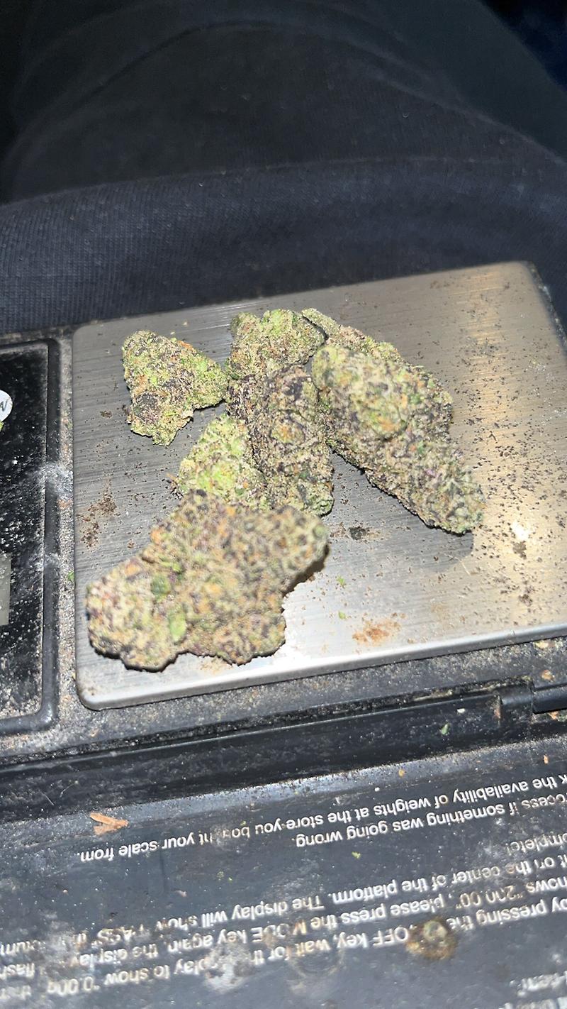 Domino Runtz (TENCO X RUNTZ) Cali Pack