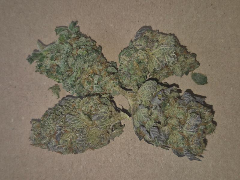 Cap Junky uk top flower