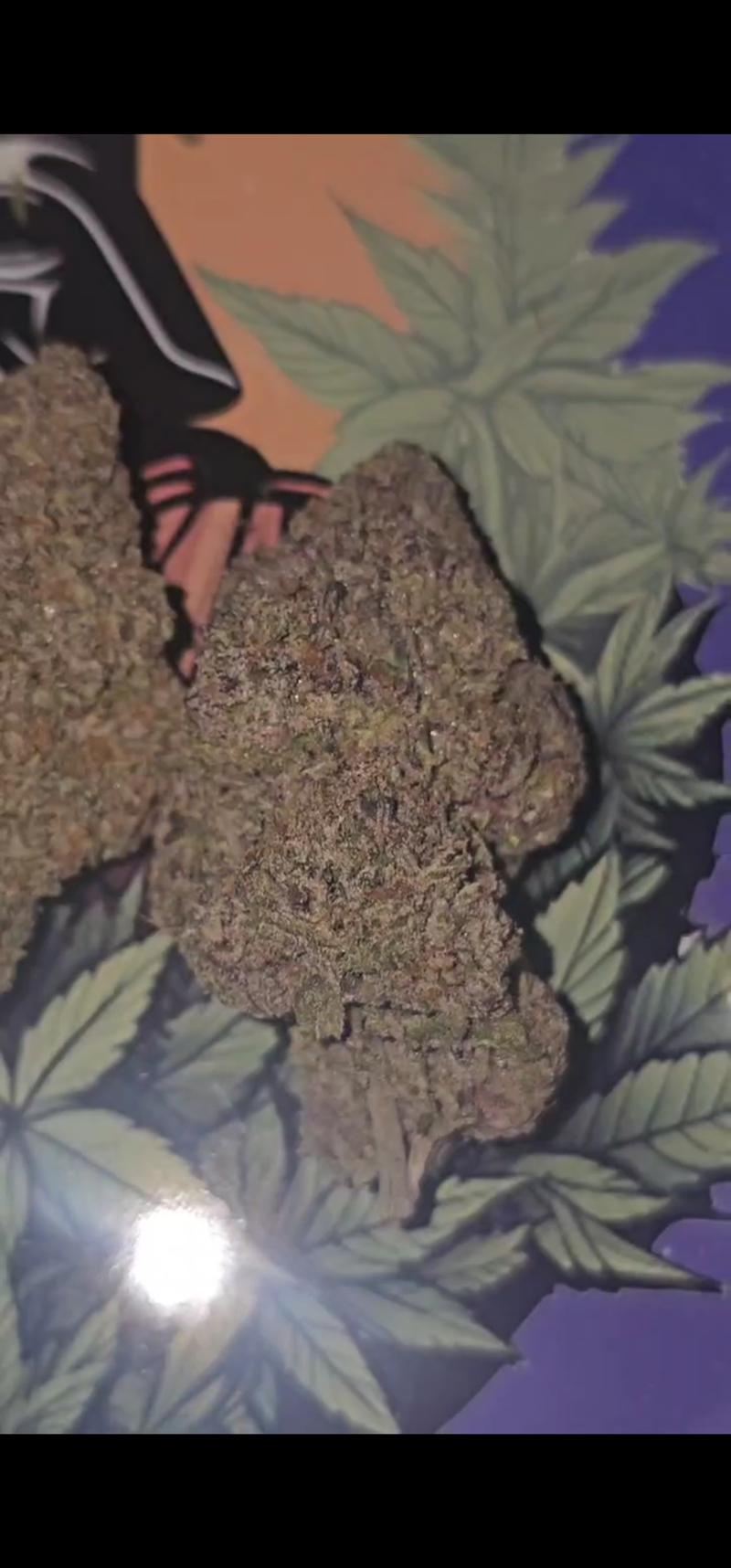 PURPLE PUNCH 🇹🇭