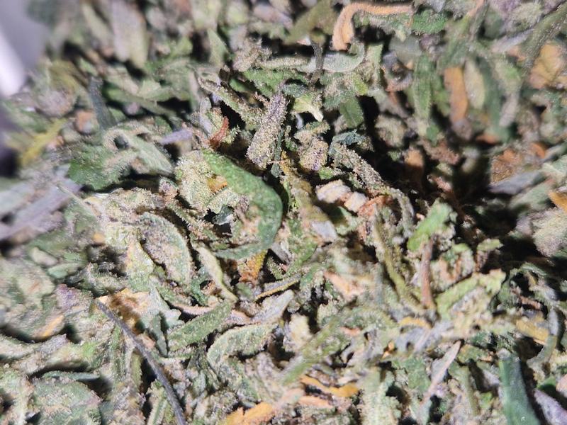 Shake n trim