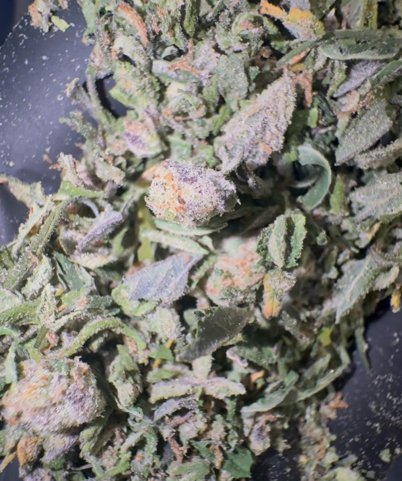 High Grade Skywalker OG Shake