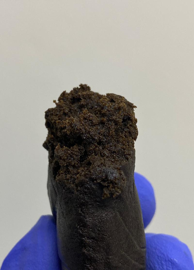 Melty 🇵🇰 Hash - Weekly Giveaway